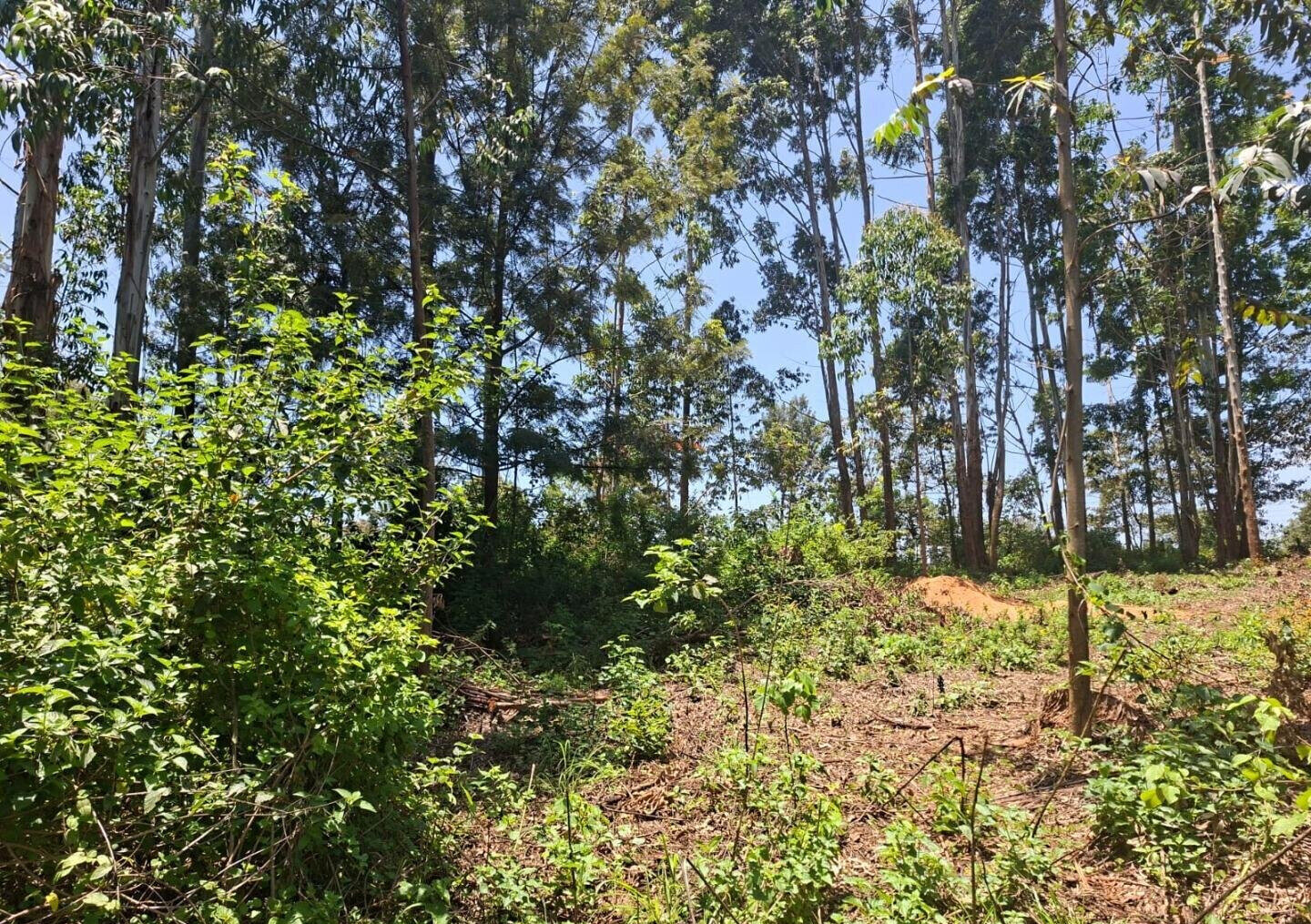 Half Acre in Kabete at KSh 35M