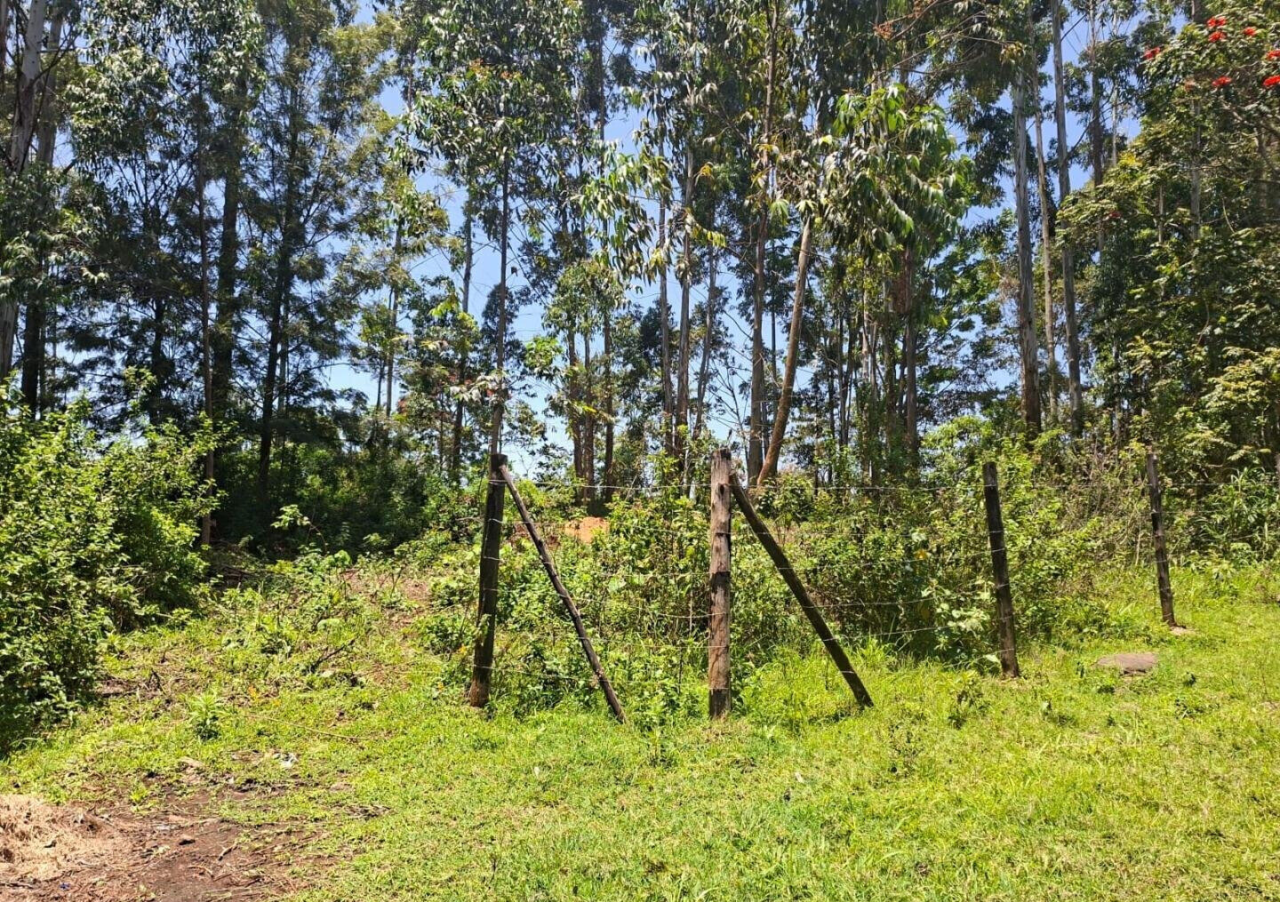 Half Acre in Kabete at KSh 35M