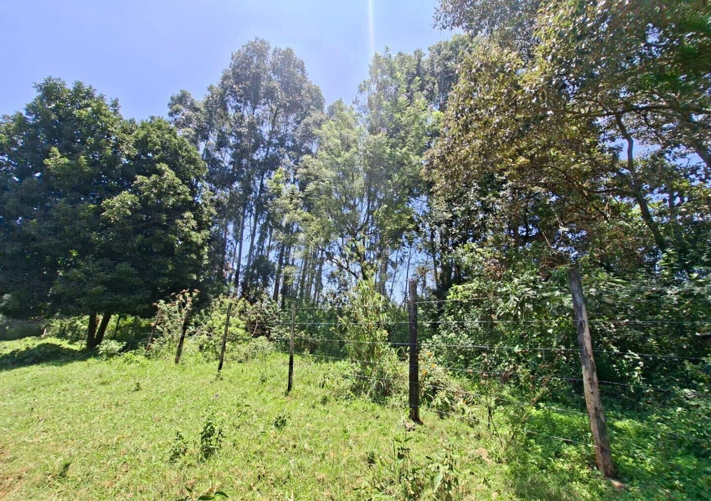 Half Acre in Kabete at KSh 35M