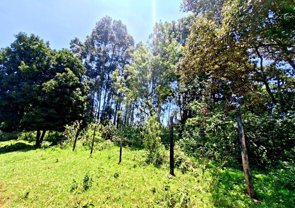 Half Acre in Kabete at KSh 35M