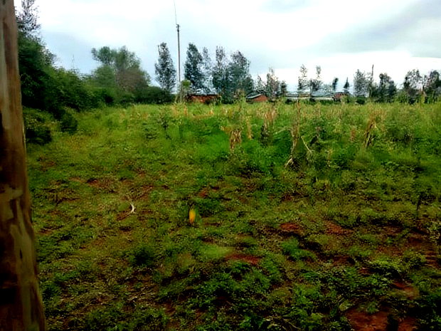 1 Acres Plot for Sale in Kampi Ya Moto