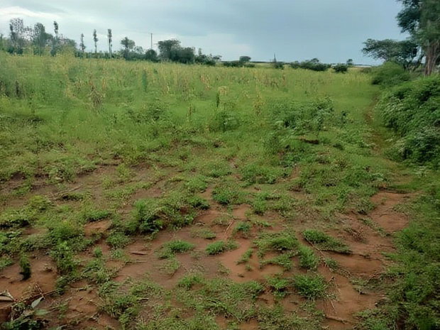 1 Acres Plot for Sale in Kampi Ya Moto