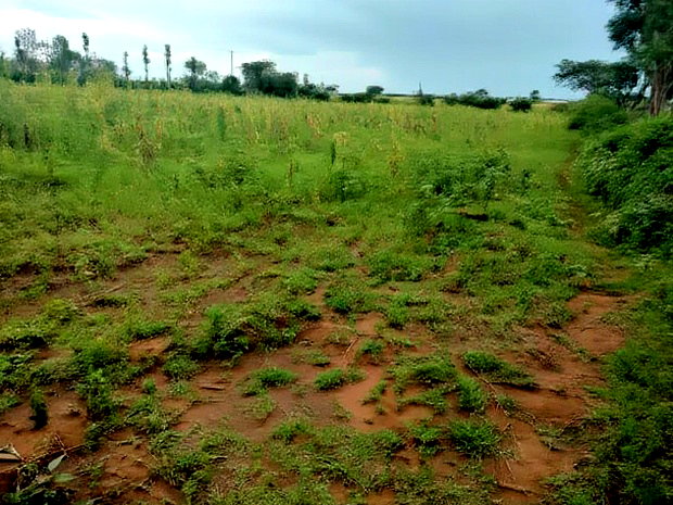1 Acres Plot for Sale in Kampi Ya Moto