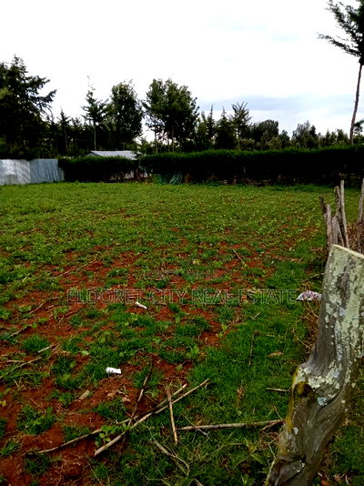 1/4 Plot Ilula Less Than 100metres From Tarmac - Image 2