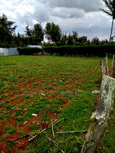 1/4 Plot Ilula Less Than 100metres From Tarmac - Image 1