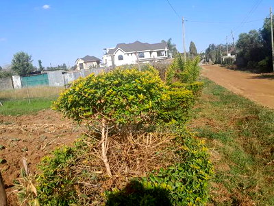 50 by 100 Plot for Sale at Kiamumbi - Image 4