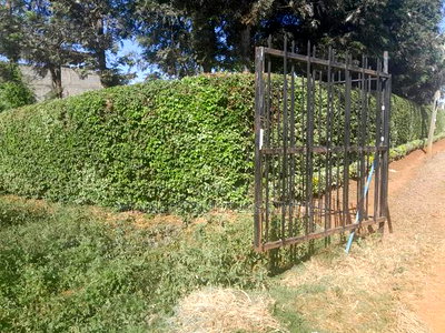 50 by 100 Plot for Sale at Kiamumbi - Image 2