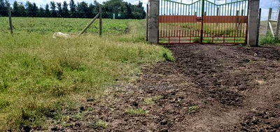 50*100 Lenchani Plot for Sale - Image 1