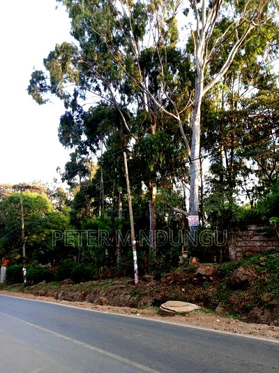 Prime Land on Sale 4 Acres Touching Mirema Drive Road - Image 5