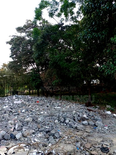 Prime Land on Sale 4 Acres Touching Mirema Drive Road - Image 3