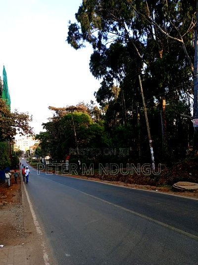 Prime Land on Sale 4 Acres Touching Mirema Drive Road - Image 2