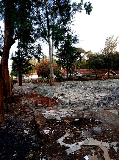 Prime Land on Sale 4 Acres Touching Mirema Drive Road - Image 4