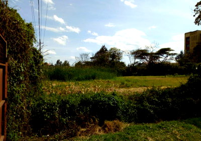 Quarter Acre Plot at KSh 11M