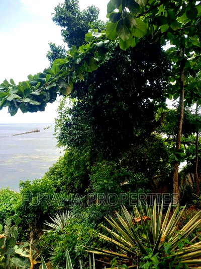 For Sale Quater Acres Plots Kikambala. - Image 5