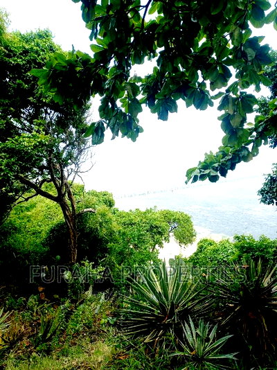 For Sale Quater Acres Plots Kikambala. - Image 3