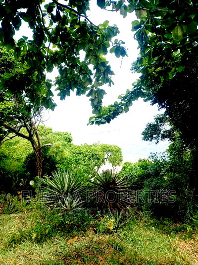 For Sale Quater Acres Plots Kikambala. - Image 4