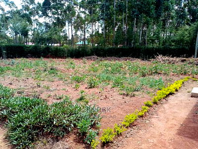 3bdrm Bungalow in Little Lambs Outspan, Racecourse for Sale - Image 3