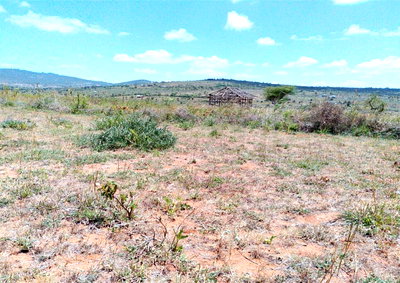 KSh 499K Garden Plot