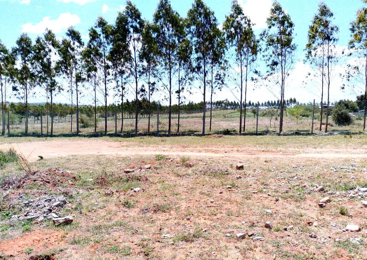 KSh 499K Garden Plot