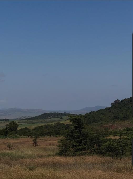 1.65-Acre Plot with Garden at KSh 6.5M