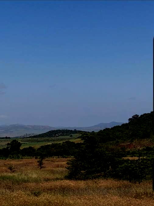 1.65-Acre Plot with Garden at KSh 6.5M
