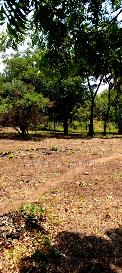 1 Acre Plot On Sale Between Galu Kinondo Beach Zone. - Image 13