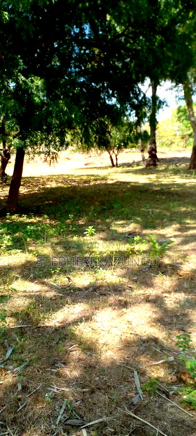 1 Acre Plot On Sale Between Galu Kinondo Beach Zone. - Image 7