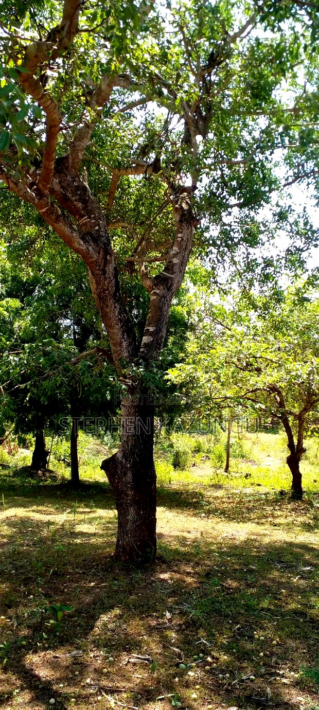1 Acre Plot On Sale Between Galu Kinondo Beach Zone.