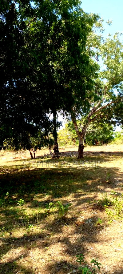 1 Acre Plot On Sale Between Galu Kinondo Beach Zone. - Image 11
