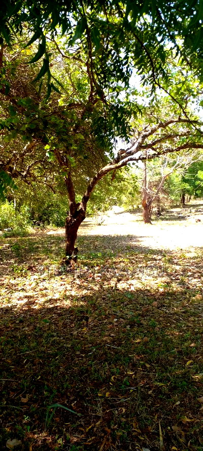 1 Acre Plot On Sale Between Galu Kinondo Beach Zone. - Image 9