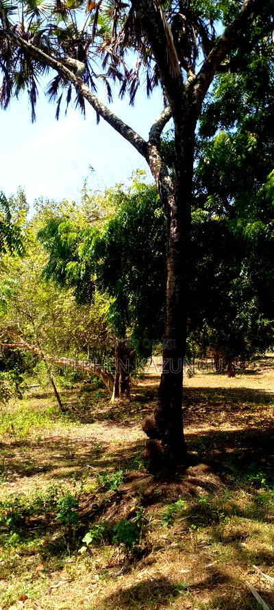 1 Acre Plot On Sale Between Galu Kinondo Beach Zone. - Image 12