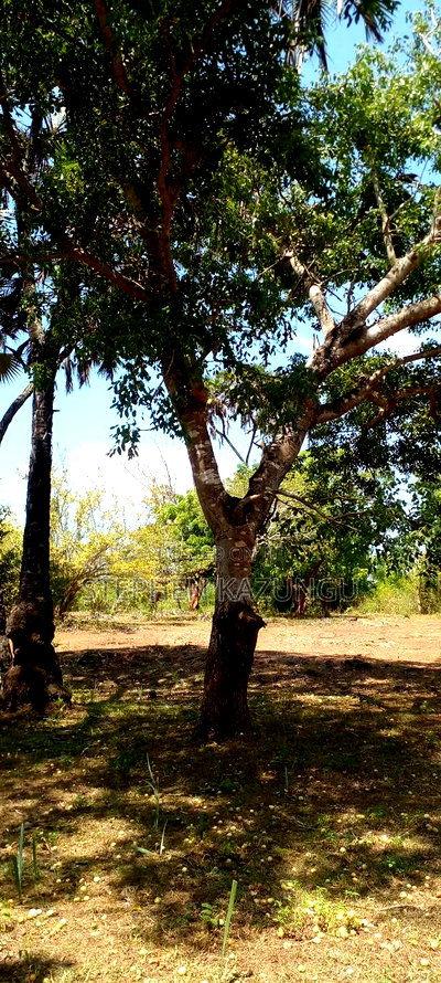 1 Acre Plot On Sale Between Galu Kinondo Beach Zone. - Image 8