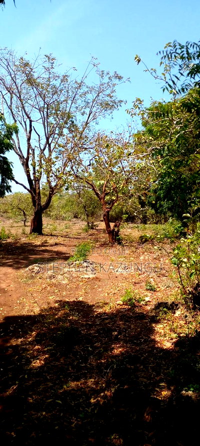 1 Acre Plot On Sale Between Galu Kinondo Beach Zone. - Image 6