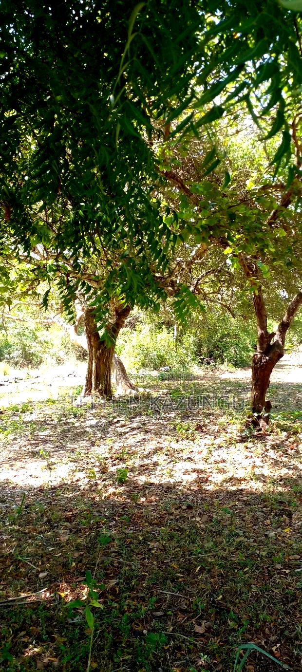 1 Acre Plot On Sale Between Galu Kinondo Beach Zone.