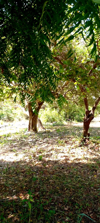 1 Acre Plot On Sale Between Galu Kinondo Beach Zone. - Image 2