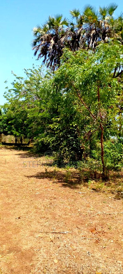 1 Acre Plot On Sale Between Galu Kinondo Beach Zone. - Image 4
