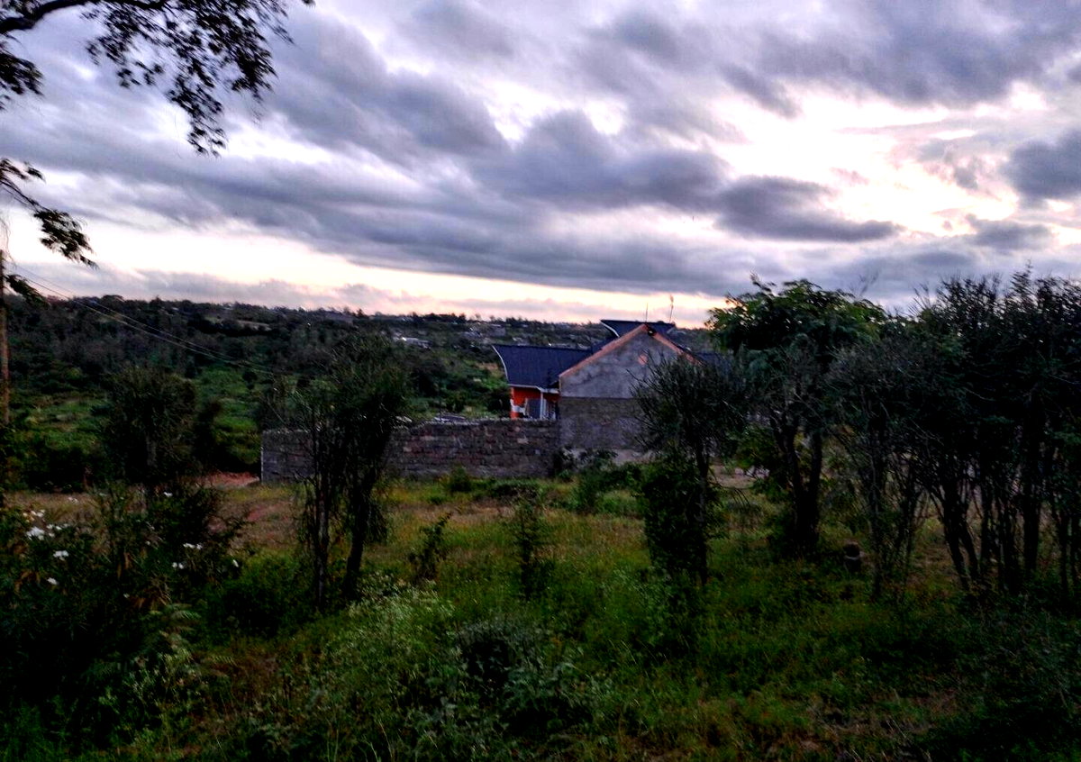 1/8 Acre Plot with Borehole - KSh 3.5M