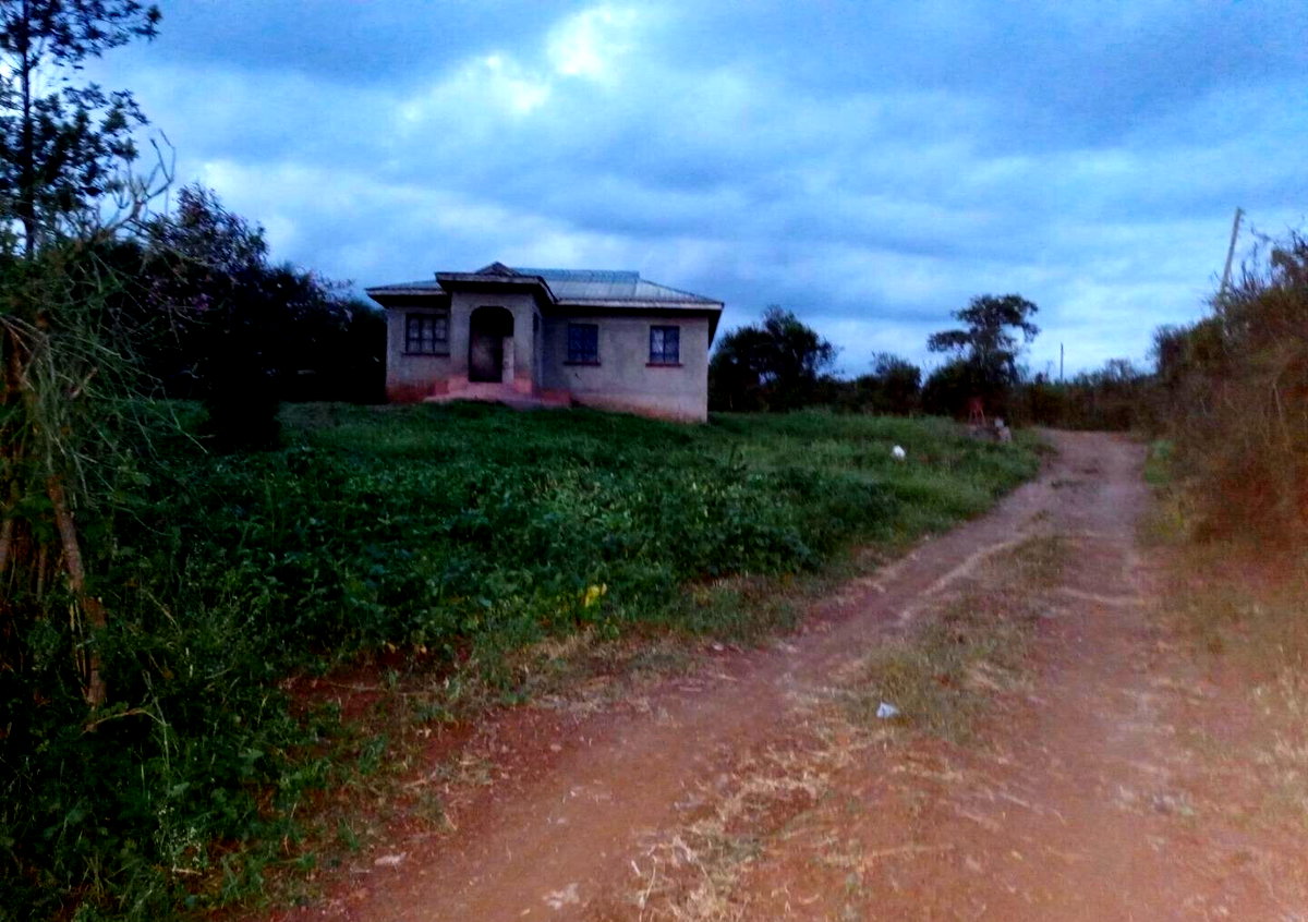1/8 Acre Plot with Borehole - KSh 3.5M