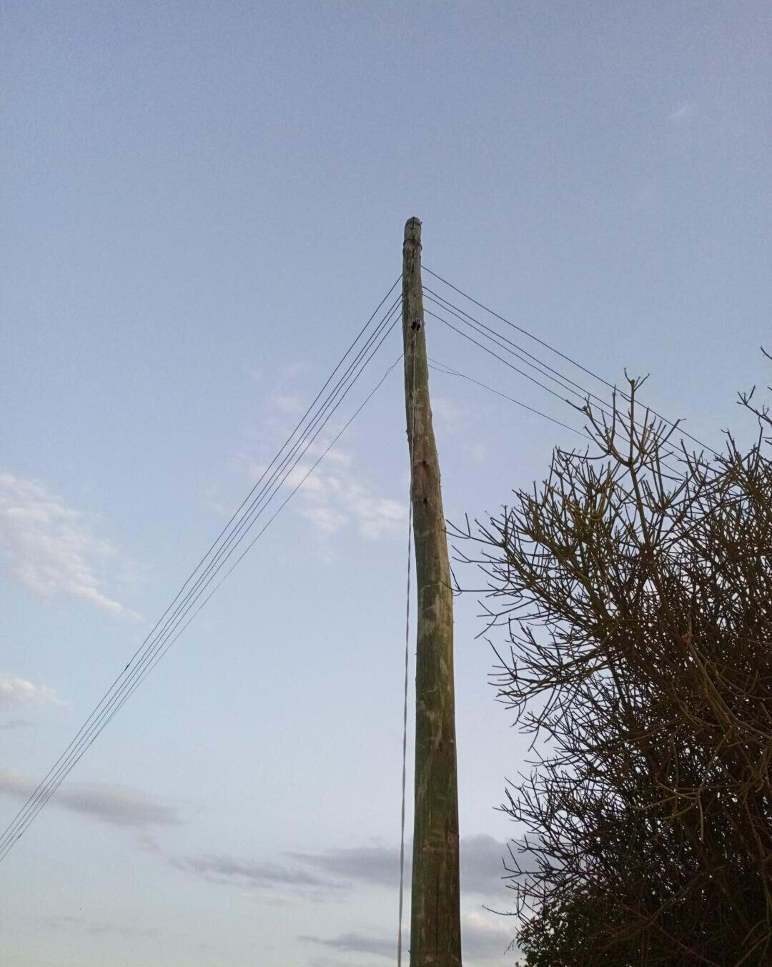 1/8 Acre Plot with Borehole - KSh 3.5M