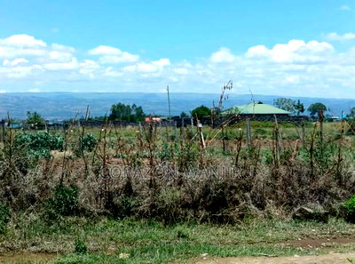 50*100plots in Nakuru Mutaita - Image 4