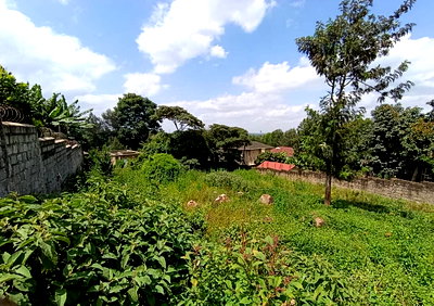 Quarter Acre Plot with Garden in Langata