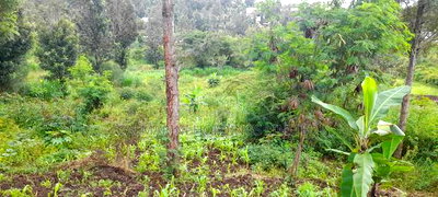 Distress Sale! Half Acre 1km From Shell Petrol STN Matasia - Image 2