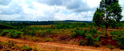 49.4-Acre Farm in Makuyu