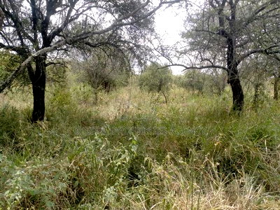 10.8 Acres Near Salama Town With 300mts From Mombasa - Image 4