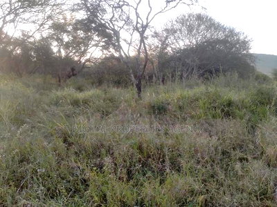 10.8 Acres Near Salama Town With 300mts From Mombasa - Image 5