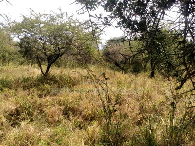 10.8 Acres Near Salama Town With 300mts From Mombasa - Image 7