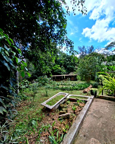 1.5-Acre Kilimani Land for Sale at KSh 450M