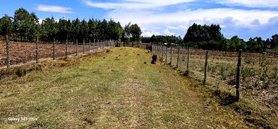Prime Plot for Sale in Royalton Annex Eldoret - Image 12
