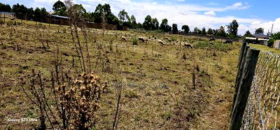 Prime Plot for Sale in Royalton Annex Eldoret - Image 4