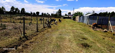 Prime Plot for Sale in Royalton Annex Eldoret - Image 8